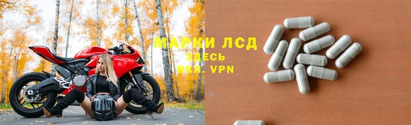 стафф Аркадак
