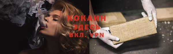 индика Армянск