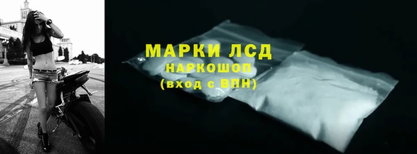 стафф Аркадак