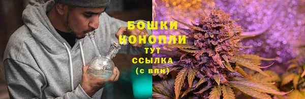 индика Армянск