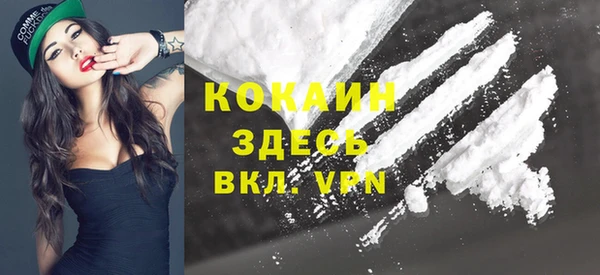 стафф Аркадак