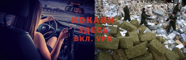 индика Армянск