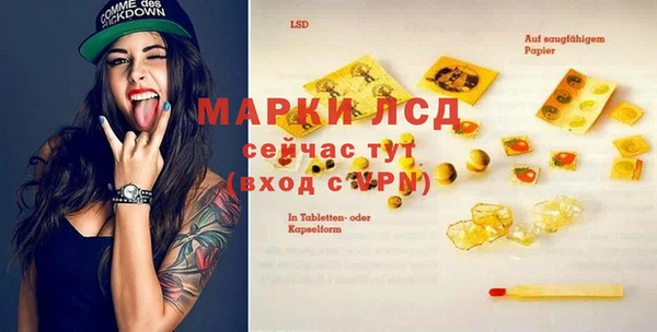 стафф Аркадак
